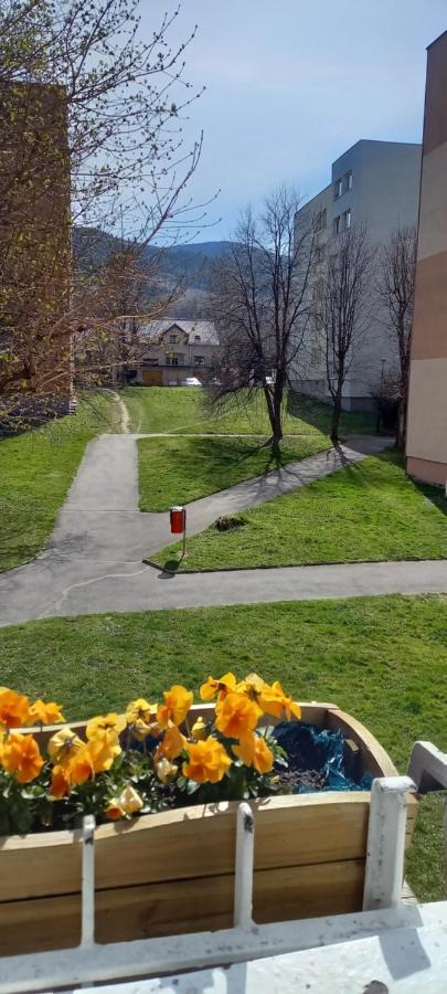 Na Lesnej Apartment Kowary