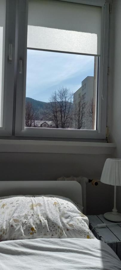 Apartment Na Lesnej *