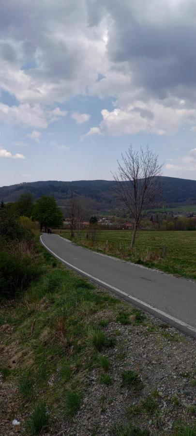 Na Lesnej Kowary